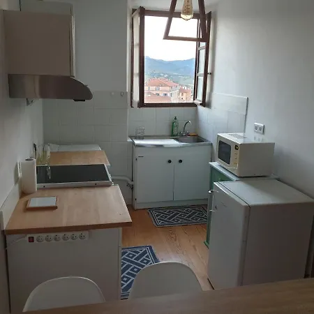 Joli De 44m2 Corte Centre